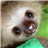 donard80's avatar