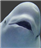 Beachedwhale's avatar