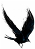 BlackbirdHS's avatar