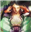 angelcrest's avatar